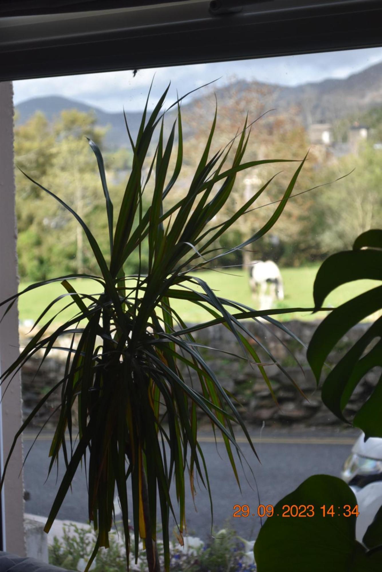 Ty Alban Villa Ffestiniog Exterior photo